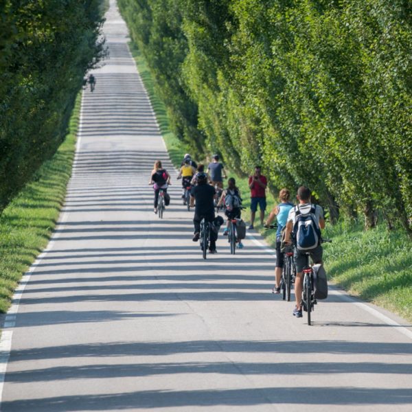 VOUCHER REGALO TI VOGIO SORPRENDERE dettaglio